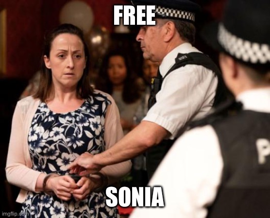 Free Sonia | FREE; SONIA | image tagged in free sonia | made w/ Imgflip meme maker