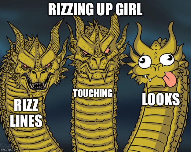 W rizz | RIZZING UP GIRL; TOUCHING; LOOKS; RIZZ LINES | image tagged in three-headed dragon,rizz | made w/ Imgflip meme maker