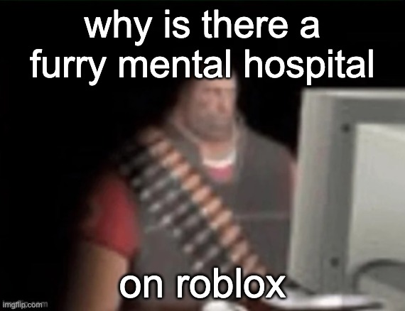 sad heavy computer | why is there a furry mental hospital; on roblox | image tagged in sad heavy computer | made w/ Imgflip meme maker