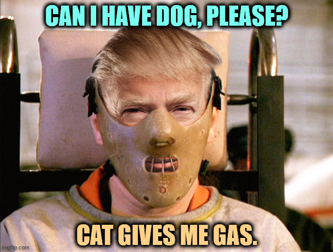 MAGA idiots will believe anything. | CAN I HAVE DOG, PLEASE? CAT GIVES ME GAS. | image tagged in trump hannibal lecter crazy mad insane bonkers,trump,hannibal lecter,hannibal lecter silence of the lambs,haiti,pets | made w/ Imgflip meme maker