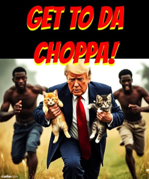 Cue the Predator theme music... | image tagged in donald trump,cats,ohio,illegal immigration,politics | made w/ Imgflip meme maker