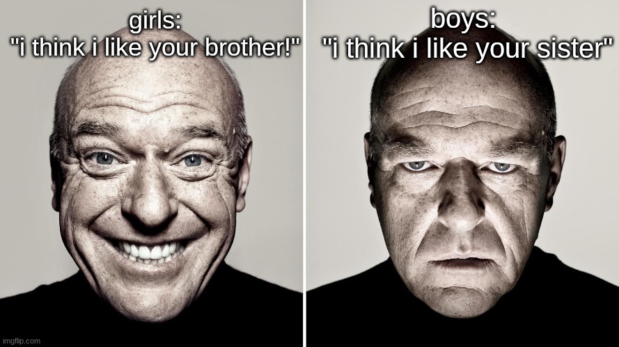 Dean Norris's reaction | boys: 
"i think i like your sister"; girls:





"i think i like your brother!" | image tagged in dean norris's reaction | made w/ Imgflip meme maker