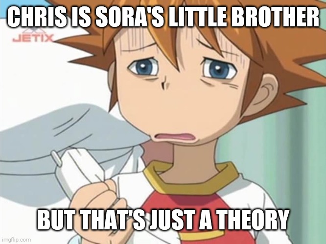 Chris is Actually Sora's Little Brother | CHRIS IS SORA'S LITTLE BROTHER; BUT THAT'S JUST A THEORY | image tagged in chris is displeased - sonic x | made w/ Imgflip meme maker