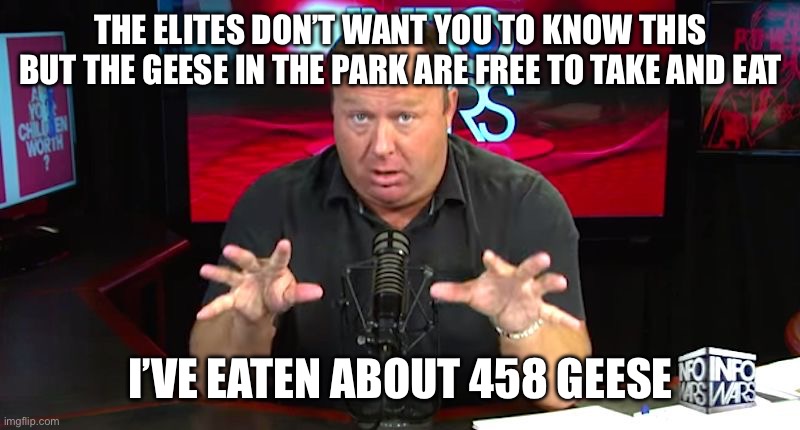 Isn’t this what the Alex Jones meme meant all along? | THE ELITES DON’T WANT YOU TO KNOW THIS BUT THE GEESE IN THE PARK ARE FREE TO TAKE AND EAT; I’VE EATEN ABOUT 458 GEESE | image tagged in alex jones | made w/ Imgflip meme maker