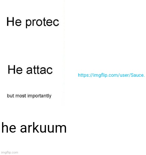 he protec | https://imgflip.com/user/Sauce. he arkuum | image tagged in he protec | made w/ Imgflip meme maker