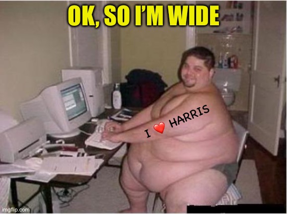 really fat guy on computer | OK, SO I’M WIDE I ❤️ HARRIS | image tagged in really fat guy on computer | made w/ Imgflip meme maker