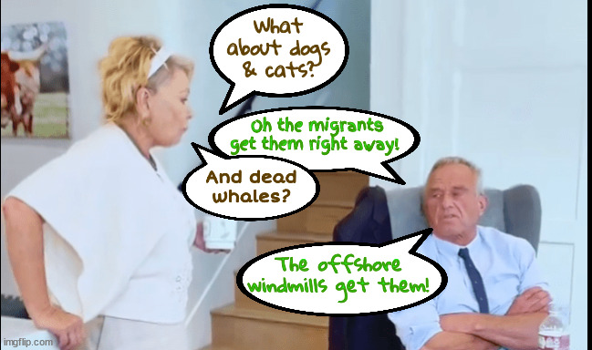 Whale no tail/tale | What about dogs & cats? Oh the migrants get them right away! And dead whales? The offshore windmills get them! | image tagged in rfk jr,cats and dogs,jd vance rascist stories,dead bear,roadkill rfk,maga migrant mystery | made w/ Imgflip meme maker