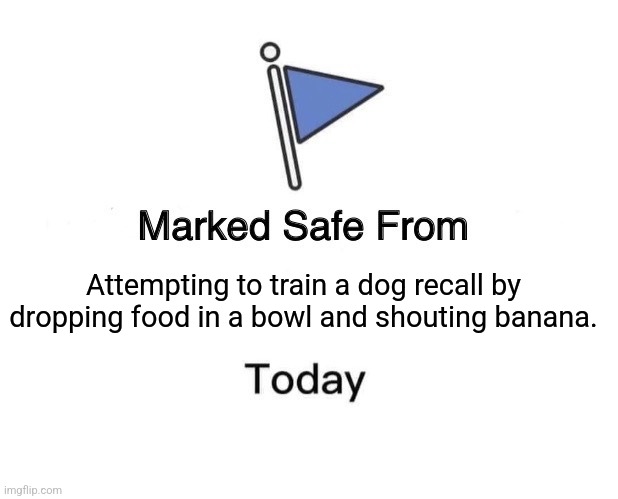 Safe from poor R+ training! | Attempting to train a dog recall by dropping food in a bowl and shouting banana. | image tagged in memes,marked safe from,banana,recall,dog | made w/ Imgflip meme maker