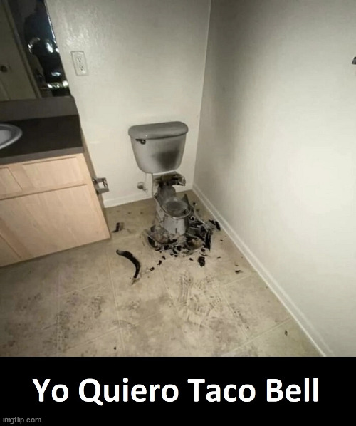 It Never Gets Old | image tagged in taco bell,funny,funny meme | made w/ Imgflip meme maker