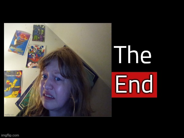 The End | image tagged in the end | made w/ Imgflip meme maker