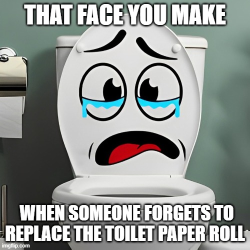 toilet paper roll | THAT FACE YOU MAKE; WHEN SOMEONE FORGETS TO REPLACE THE TOILET PAPER ROLL | image tagged in memes | made w/ Imgflip meme maker