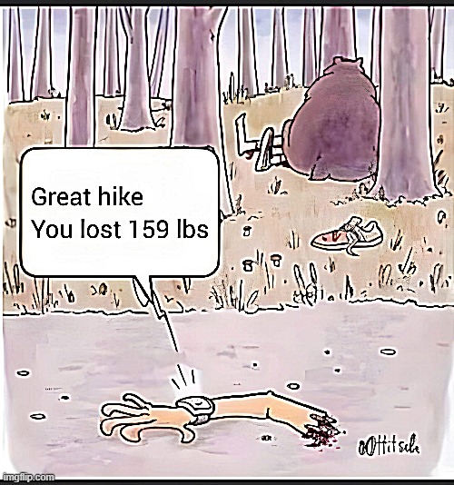 Hiking | image tagged in woods | made w/ Imgflip meme maker