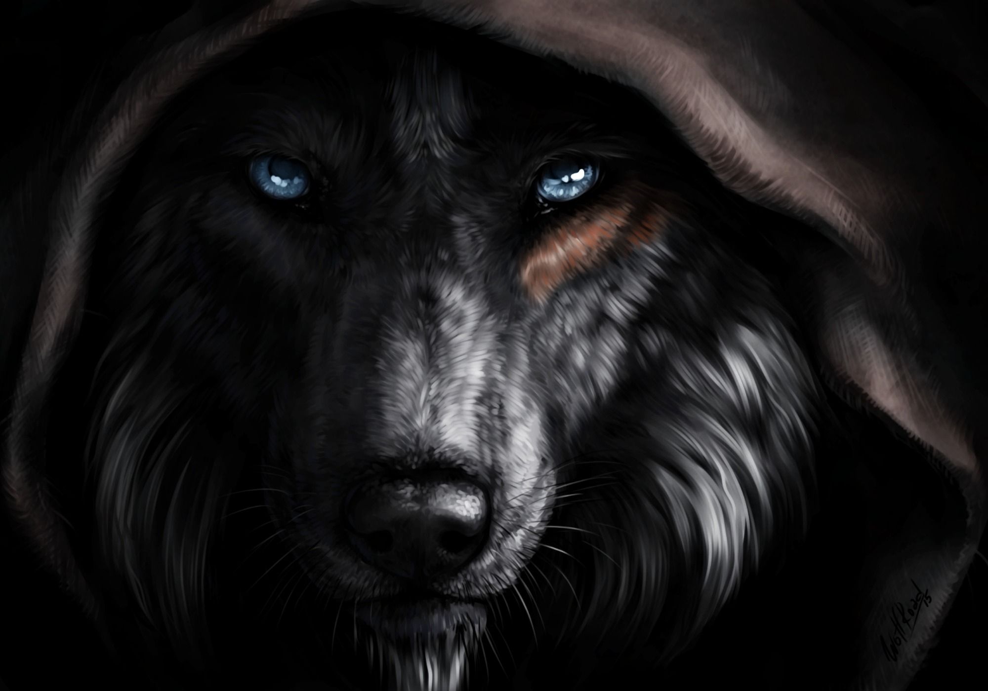 High Quality Wolf in hood Blank Meme Template