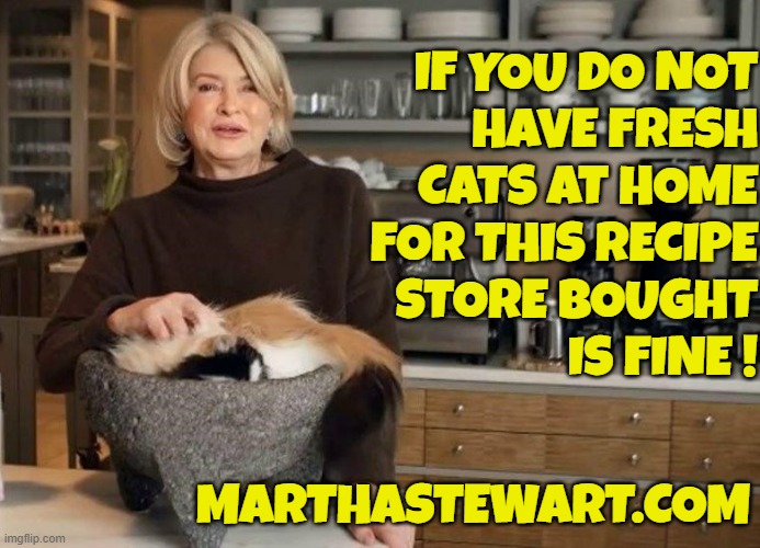 Martha Chimes in | IF YOU DO NOT
HAVE FRESH
CATS AT HOME
FOR THIS RECIPE
STORE BOUGHT
IS FINE ! MARTHASTEWART.COM | image tagged in martha stewart,cats,haiti,pets,maga,make america great again | made w/ Imgflip meme maker