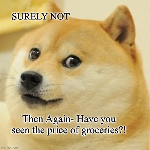 Doge Meme | SURELY NOT; Then Again- Have you seen the price of groceries?! | image tagged in memes,doge | made w/ Imgflip meme maker