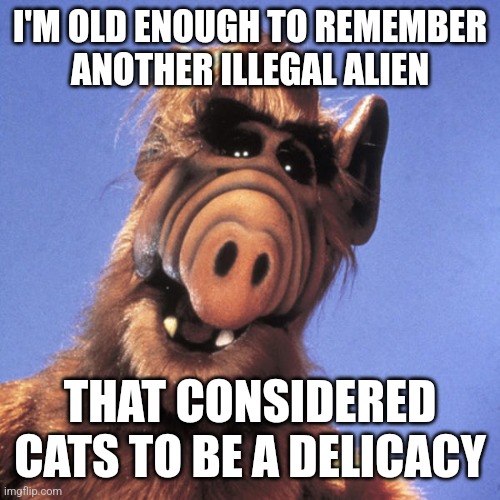 Alf Haitian cat eater | I'M OLD ENOUGH TO REMEMBER  ANOTHER ILLEGAL ALIEN; THAT CONSIDERED CATS TO BE A DELICACY | image tagged in alf | made w/ Imgflip meme maker