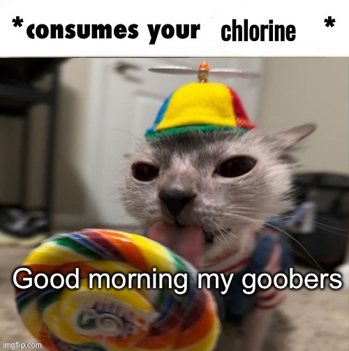 Who up wonkin they Willy rn | Good morning my goobers | image tagged in the faceless consumes your chlorine | made w/ Imgflip meme maker