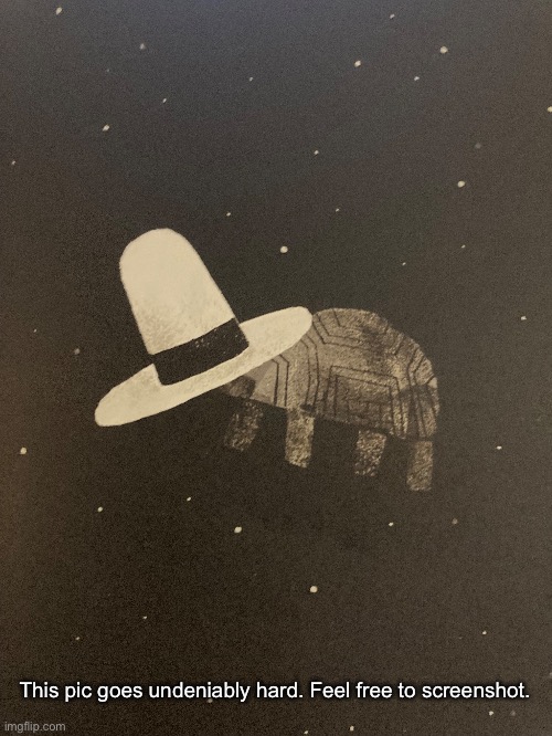 Turtle in space wearing a hat | This pic goes undeniably hard. Feel free to screenshot. | made w/ Imgflip meme maker