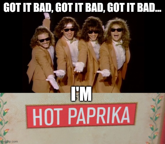 Van Halen is hot paprika | GOT IT BAD, GOT IT BAD, GOT IT BAD... I'M | image tagged in music meme,puns | made w/ Imgflip meme maker