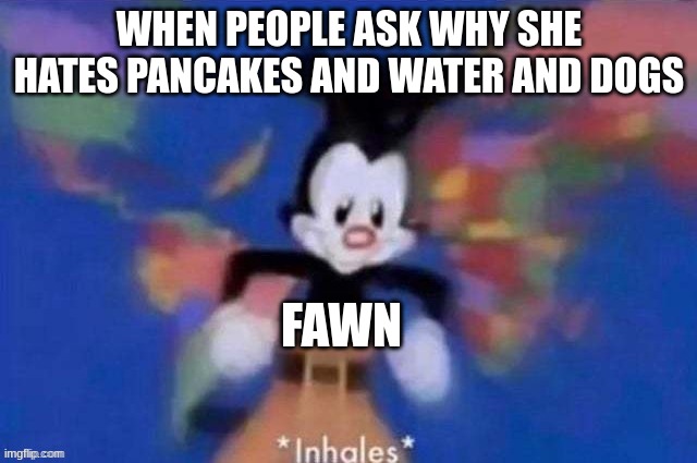 "Pancakes are an affront to nature, dogs are rabid animals, and water is WET." | WHEN PEOPLE ASK WHY SHE HATES PANCAKES AND WATER AND DOGS; FAWN | image tagged in yakko,ocs | made w/ Imgflip meme maker