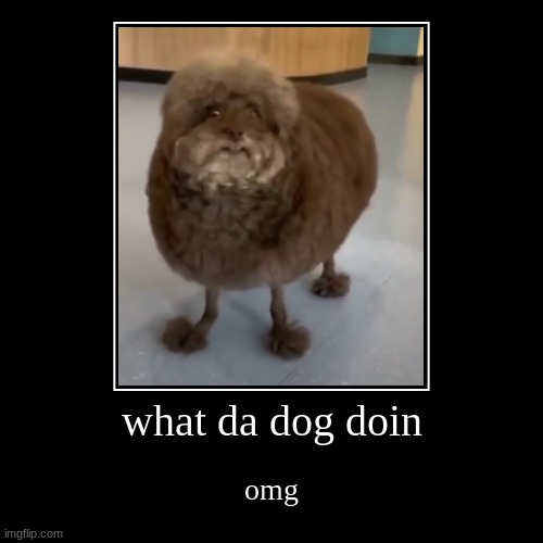 what da dog doin | omg | image tagged in funny,demotivationals | made w/ Imgflip demotivational maker