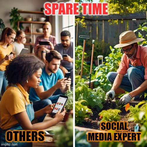 Social media expert | SPARE TIME; SOCIAL MEDIA EXPERT; OTHERS | image tagged in fun,funny memes | made w/ Imgflip meme maker