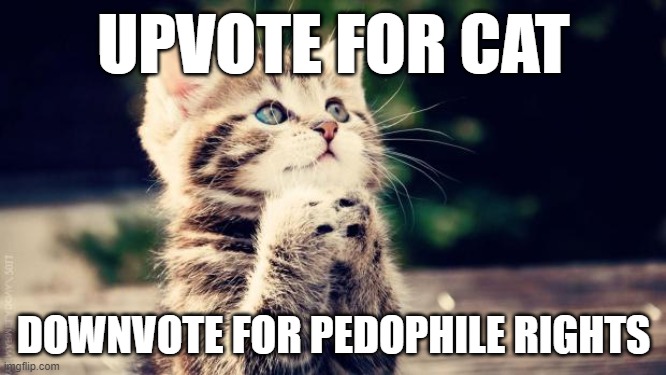 Praying cat | UPVOTE FOR CAT; DOWNVOTE FOR PEDOPHILE RIGHTS | image tagged in praying cat | made w/ Imgflip meme maker