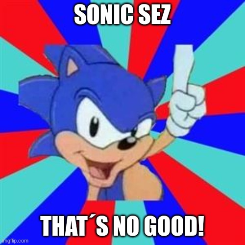 Sonic sez | SONIC SEZ THAT´S NO GOOD! | image tagged in sonic sez | made w/ Imgflip meme maker