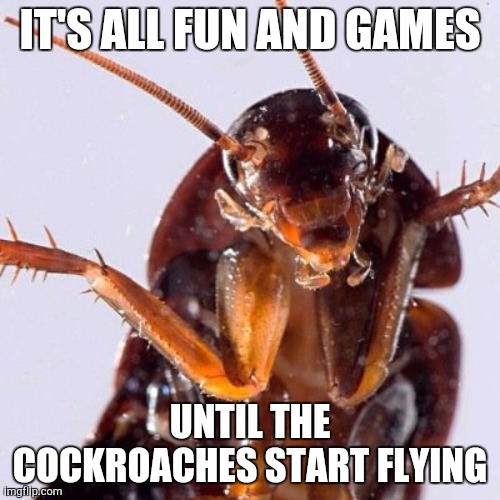 Everybody Gangsta 'til It Happens | IT'S ALL FUN AND GAMES; UNTIL THE COCKROACHES START FLYING | image tagged in roach | made w/ Imgflip meme maker