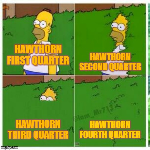 Homer hides | HAWTHORN FIRST QUARTER; HAWTHORN SECOND QUARTER; HAWTHORN THIRD QUARTER; HAWTHORN FOURTH QUARTER | image tagged in homer hides | made w/ Imgflip meme maker