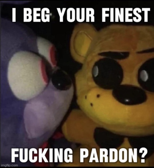 I beg your finest pardon? | image tagged in i beg your finest pardon | made w/ Imgflip meme maker