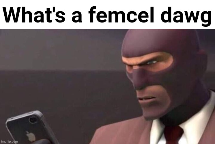 tf2 spy looking at phone | What's a femcel dawg | image tagged in tf2 spy looking at phone | made w/ Imgflip meme maker