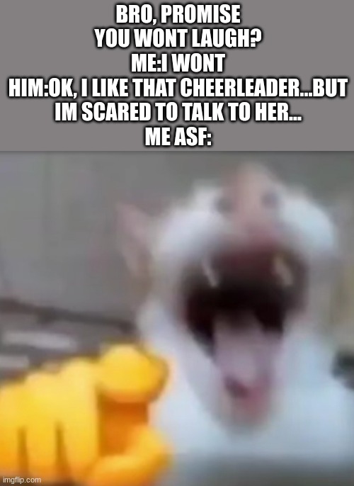 HAHA COWARD | BRO, PROMISE YOU WONT LAUGH?
ME:I WONT
HIM:OK, I LIKE THAT CHEERLEADER...BUT IM SCARED TO TALK TO HER...
ME ASF: | image tagged in cat pointing and laughing | made w/ Imgflip meme maker