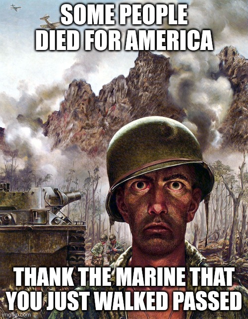 1000 yard stare | SOME PEOPLE DIED FOR AMERICA; THANK THE MARINE THAT YOU JUST WALKED PASSED | image tagged in 1000 yard stare | made w/ Imgflip meme maker