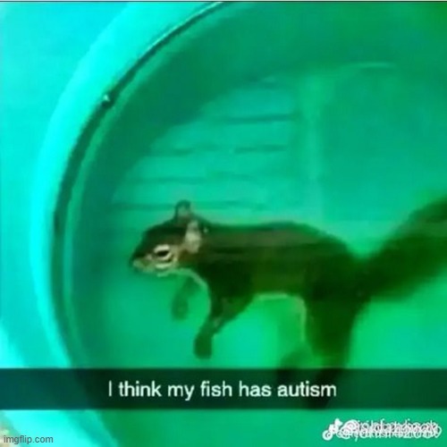 (im the fish) | image tagged in eh,i love men | made w/ Imgflip meme maker