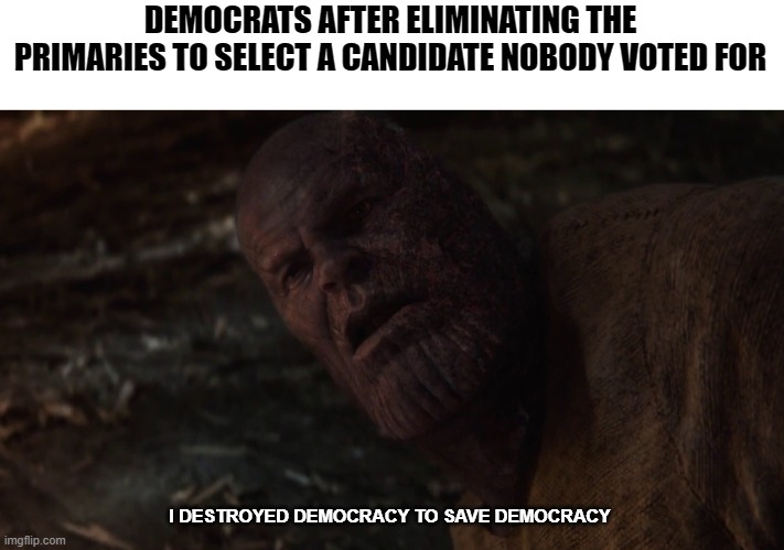 Sometimes you have to take away people's right to vote to save their right to vote | DEMOCRATS AFTER ELIMINATING THE PRIMARIES TO SELECT A CANDIDATE NOBODY VOTED FOR; I DESTROYED DEMOCRACY TO SAVE DEMOCRACY | image tagged in i used the stones to destroy the stones,political meme,politics,politics lol,trump,kamala harris | made w/ Imgflip meme maker