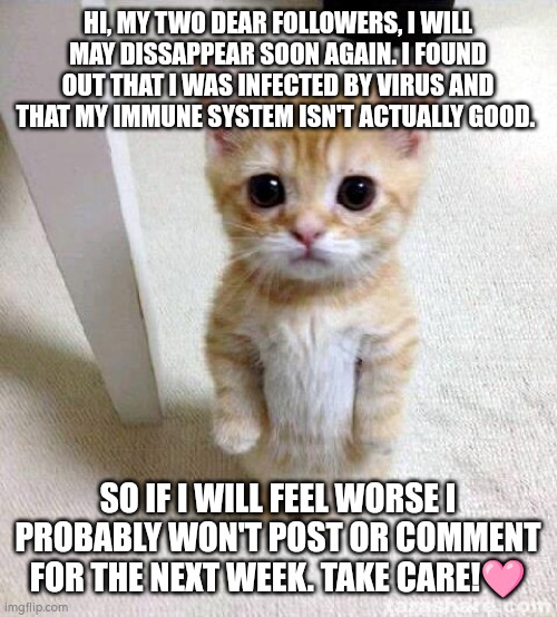 <3 | HI, MY TWO DEAR FOLLOWERS, I WILL MAY DISSAPPEAR SOON AGAIN. I FOUND OUT THAT I WAS INFECTED BY VIRUS AND THAT MY IMMUNE SYSTEM ISN'T ACTUALLY GOOD. SO IF I WILL FEEL WORSE I PROBABLY WON'T POST OR COMMENT FOR THE NEXT WEEK. TAKE CARE!🩷 | image tagged in memes,cute cat,virus,sick,unknown | made w/ Imgflip meme maker