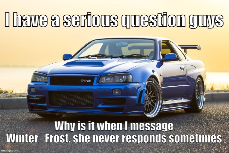 Skyline R34 | I have a serious question guys; Why is it when I message Winter_Frost, she never responds sometimes | image tagged in skyline r34 | made w/ Imgflip meme maker