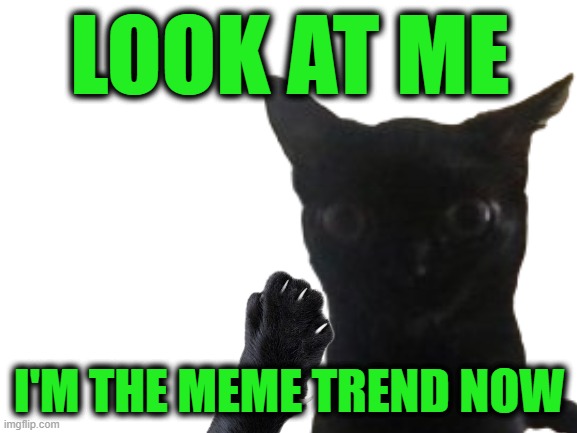 Day 3 of Cat Eating Memes, with No End in Sight | LOOK AT ME; I'M THE MEME TREND NOW | image tagged in blank white template,cat,ohio | made w/ Imgflip meme maker