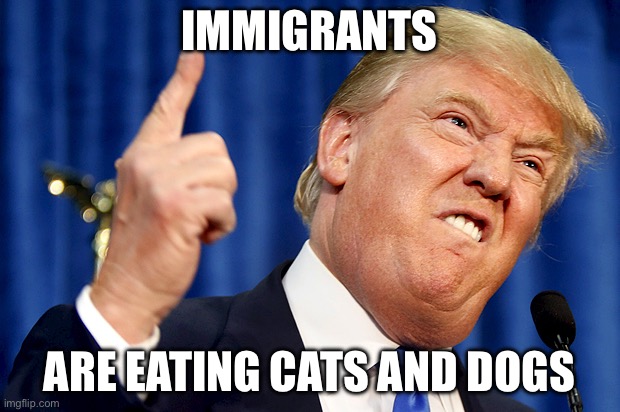 SO CAP | IMMIGRANTS; ARE EATING CATS AND DOGS | image tagged in donald trump | made w/ Imgflip meme maker