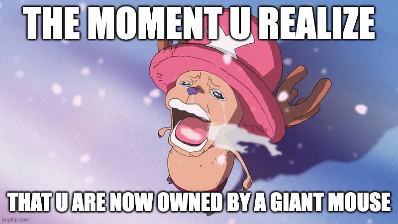 crying chopper one piece | THE MOMENT U REALIZE; THAT U ARE NOW OWNED BY A GIANT MOUSE | image tagged in crying chopper one piece | made w/ Imgflip meme maker