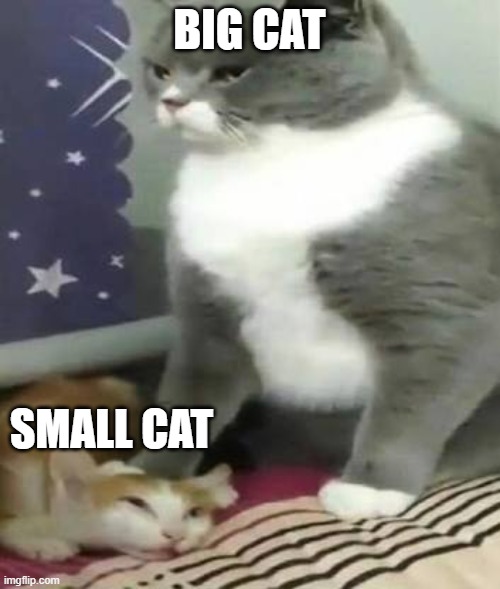 Big cat stomping small cat | BIG CAT SMALL CAT | image tagged in big cat stomping small cat | made w/ Imgflip meme maker