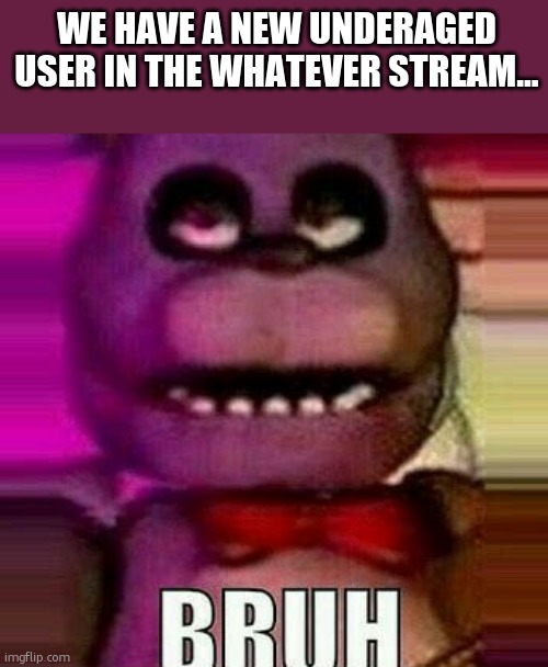 bonnie bruh | WE HAVE A NEW UNDERAGED USER IN THE WHATEVER STREAM... | image tagged in bonnie bruh | made w/ Imgflip meme maker