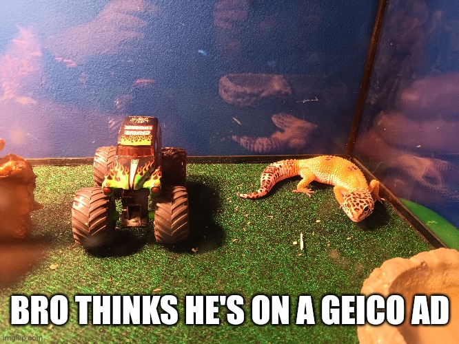 BRO THINKS HE'S ON A GEICO AD | made w/ Imgflip meme maker