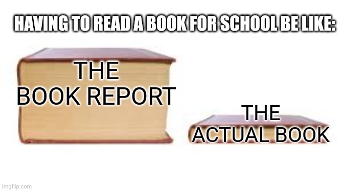 Book reports | HAVING TO READ A BOOK FOR SCHOOL BE LIKE:; THE BOOK REPORT; THE ACTUAL BOOK | image tagged in big book small book,school,books,homework | made w/ Imgflip meme maker