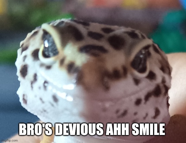 BRO'S DEVIOUS AHH SMILE | made w/ Imgflip meme maker