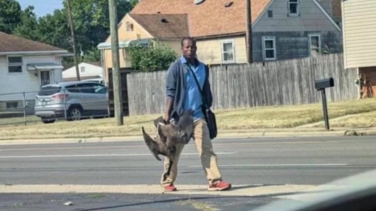 Haitian Man With Goose Blank Meme Template