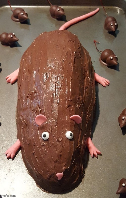 chocolate rat | image tagged in chocolate rat | made w/ Imgflip meme maker