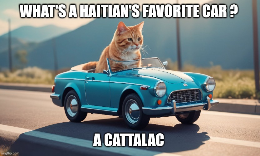 haitian illegals meme | WHAT'S A HAITIAN'S FAVORITE CAR ? A CATTALAC | image tagged in cars | made w/ Imgflip meme maker