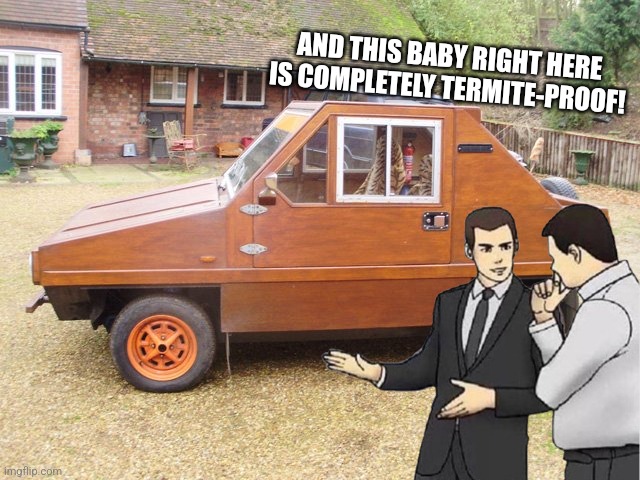 AND THIS BABY RIGHT HERE IS COMPLETELY TERMITE-PROOF! | made w/ Imgflip meme maker